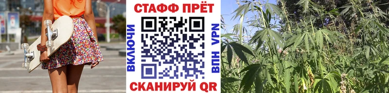 Где продают наркотики Высоцк APVP  Мефедрон  ГАШИШ  Псилоцибиновые грибы  МЕТАМФЕТАМИН  Cocaine 