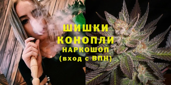 прущие грибы Белокуриха