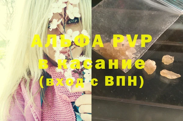 прущие грибы Белокуриха