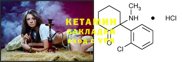прущие грибы Белокуриха