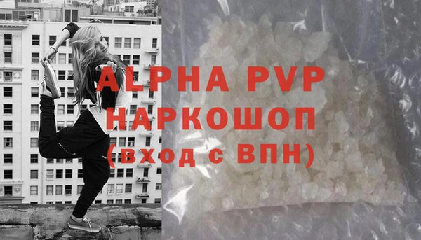 прущие грибы Белокуриха
