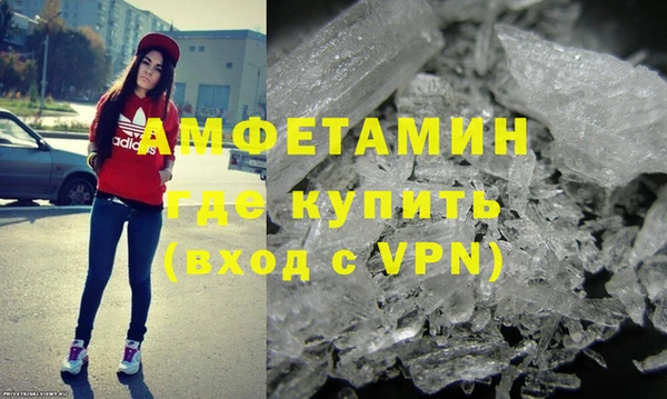 прущие грибы Белокуриха